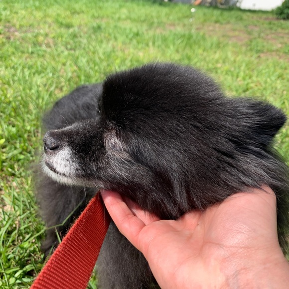 Meet your Posher, Andrea - Picture 5 of 7